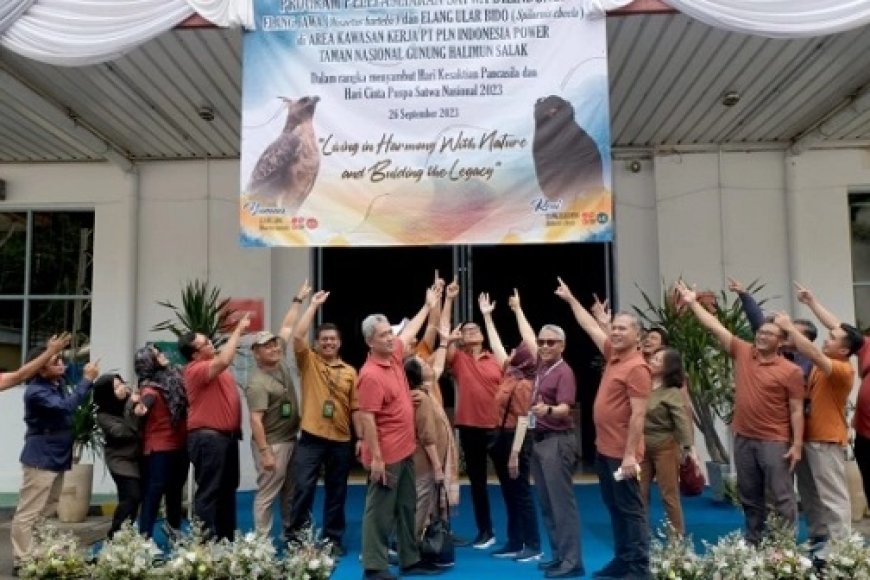 Bentuk Komitmen PLN Indonesia Power dan Kementerian Lingkungan RI Melepaskan Elang Jawa dan Elang Ular Bido untuk Pelestarian Ekosistem