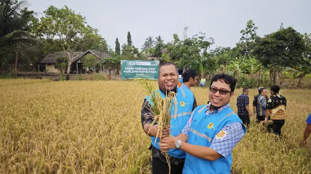 PLTU Ombilin: Ubah Limbah Menjadi Pupuk Silika, Solusi Ramah Lingkungan untuk Pembangunan Berkelanjutan