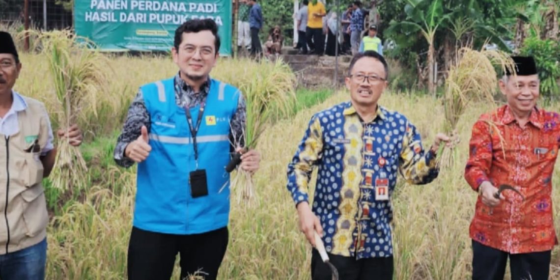 Cara Sulap Limbah FABA Jadi Pupuk Silika Ala PLN Indonesia Power