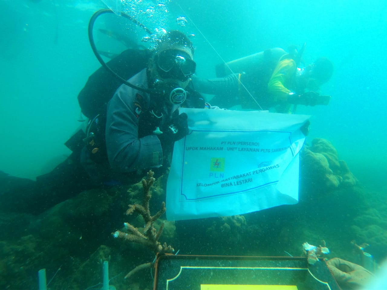 UPDK Mahakam Restorasi Ekosistem Laut Muara Badak melalui Transplantasi Terumbu Karang