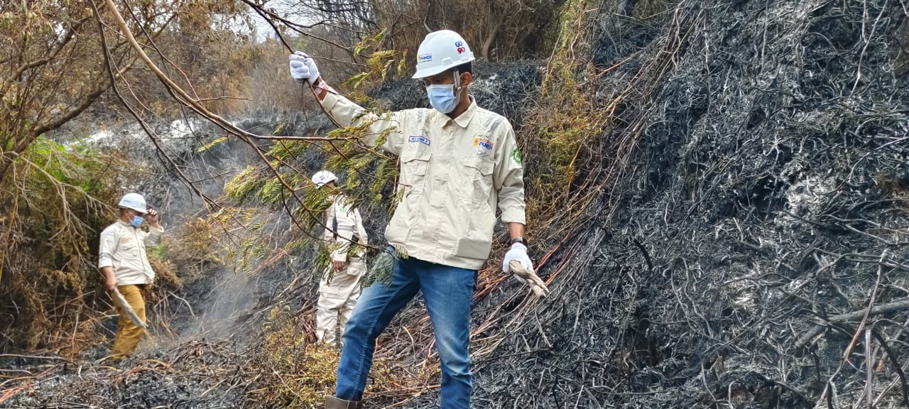 Gokil.. PLN Indonesia Power Padamkan Kebakaran Hutan dan Lahan