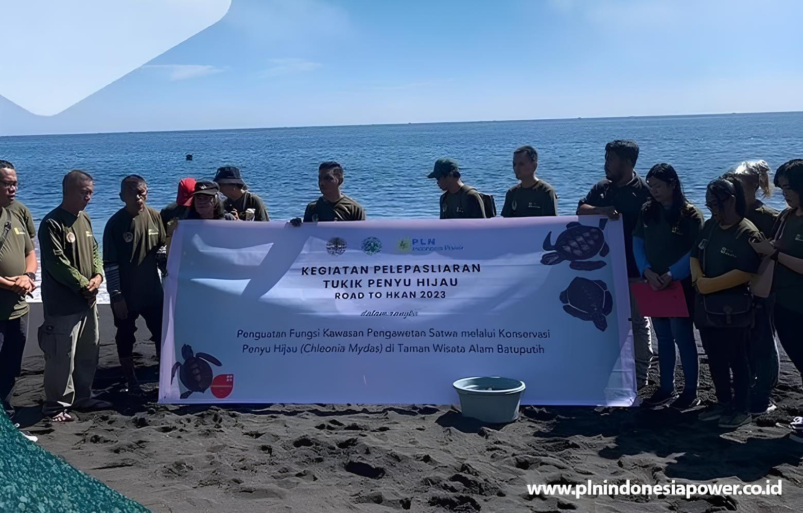 PLTP Lahendong, PLN Indonesia Power Bersama BKSDA Sulawesi Utara Lestarikan Penyu Hijau di TWA Batuputih