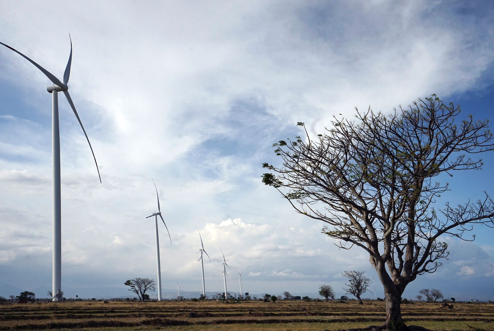 PLN Indonesia Power Membangun Pembangkit Hijau di Nusa Penida