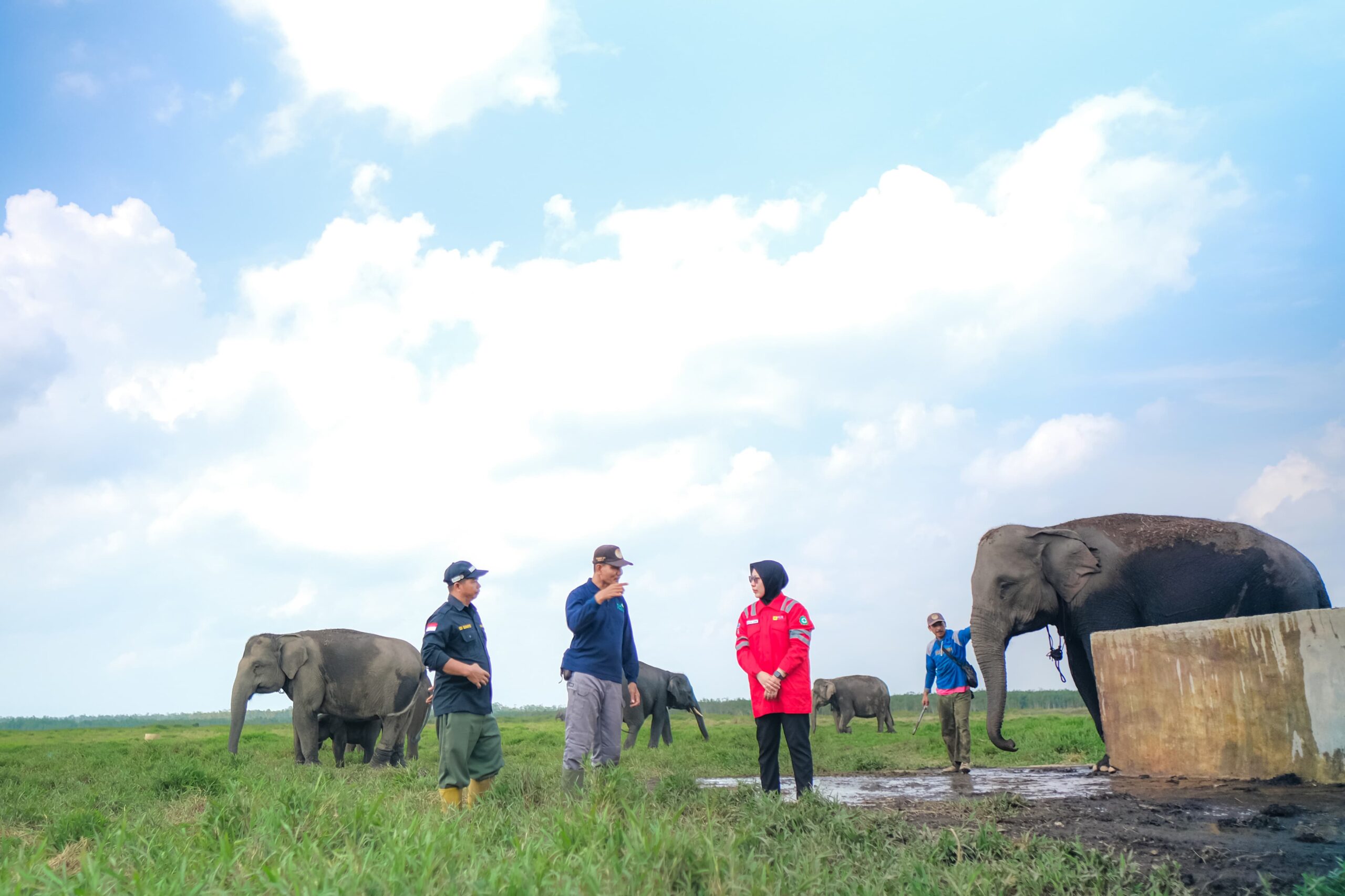 PLN Indonesia Power Menguatkan Dukungan untuk Pelestarian Gajah Sumatra dengan Prasarana Patroli